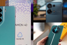 Rekomendasi HP Kamera 0,5 Ultrawide Murah Terbaik 2025, Cocok Konten Kreator dan Fotografer