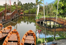 Rasa Lembang di Sumsel! 2 Rekomendasi Liburan Terbaik di Pagar Alam Cemerlang Asri & Green Paradise