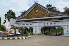 11 Universitas Terbaik di Indonesia yang Jadi Incaran SNBP 2025, Salah Satunya Banyak Kerja di Pertamina!