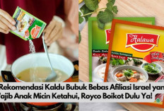 5 Kaldu Bubuk Halal Bebas Afiliasi Israel Bikin Masakan Tambah Enak, Royco Boikot Dulu Yach! 