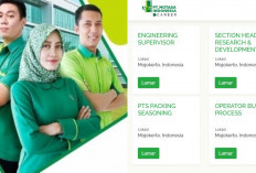 PT Motasa Indonesia Buka Loker di 6 Posisi dengan penempatan Mojokerto, Cek Kriterianya di Sini!