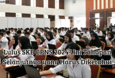 Lulus SKB CPNS 2024? Ini Tahapan Selanjutnya yang Harus Diketahui