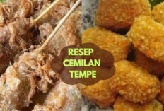 Bukan Cuma di Goreng, Ini 2 Resep Olahan Tempe yang Bisa Dijadikan Ide Jualan, Dijamin Untung Banyak Lurs... 