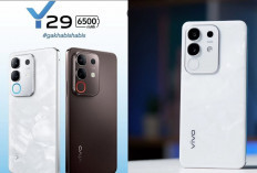 Canggih! Spesifikasi HP Vivo Y29: Baterai Besar 6500 mAh dan Kamera 50 MP, Harganya?