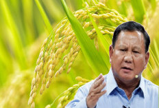 Gede Banget! Prabowo Gelontorkan Anggaran Segini untuk Cetak Sawah Baru dan Intensifikasi Lahan di 2025!