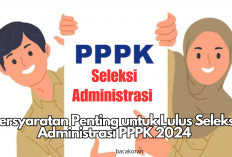 Gawat! Honorer PPPK 2024 Bisa Gagal Seleksi Administrasi karena Melewatkan Persyaratan Penting Ini