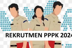 Pendaftaran PPPK 2024, Inilah 4 Cara Mengatasi Server Down di Situs SSCASN, Dijamin Lancar!