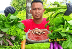 5 Sayuran yang Baik Dimakan Penderita Penyakit Jantung, Salah Satunya Sering Dimasak Orang Indonesia, Apa Aja?