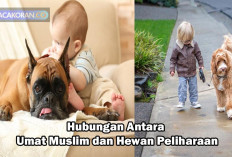 Hukum Memelihara Anjing Bagi Umat Muslim, Boleh Asal..