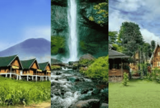 Pagaralam Bikin Jatuh Cinta! Jelajahi 3 Destinasi di Kota Sejuk Ini, Bisa Buat Healing dan Recharge Energi