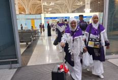 41 Ribu Jamaah Haji Terbang ke Madinah dalam Sepekan, 4 Orang Meninggal, Berikut Daftarnya  