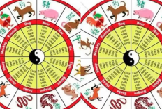 Terungkap! Shio Paling Beruntung di Tahun 2026, Apakah Shio Anda Termasuk?