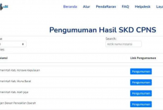 Pengumuman Hasil SKD CPNS 2024 Resmi Dibuka, Buruan Cek Link Disini! Ada Nama Indah, Muhammad dan Putri