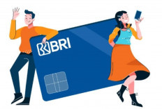 Datang dan Penuhi Syarat! Kartu Kredit Bank BRI Bantu Cairkan Modal Usaha 75 Juta dengan Bunga 0,6 Persen..
