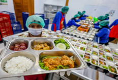 Prabowo Pastikan MBG Jalan Terus, Wilayah 3T Jadi Prioritas! 