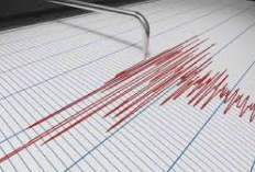 Update, Gempa Bumi Dengan Kekuatan 3.9 Magnitudo Mengguncang Wilayah Donggala, Berikut Informasinya