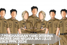 Lolos Seleksi PPPK 2024? Ini 7 Penghargaan yang Diterima Honorer dari Negara!