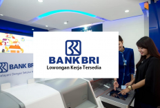 LOKER BUMN, Bank BRI Buka 2 Lowongan Kerja Terbaru Untuk Wilayah Padang dan Semarang, Cek Disini Selengkapnya