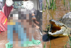 Tragis! Ibu di Kendawangan Tewas Diterkam Buaya, IPTU : Tubuh Korban Masih Berada dalam Cengkeraman Buaya