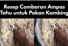 Resep Comboran Ampas Tahu untuk Pakan Kambing, Mudah dan Lezat Bikin Ternak Auto Lahap, Kuy Coba!