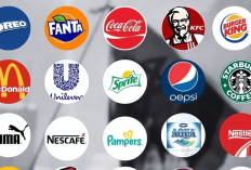 Bukan KFC Aja Lho! Ini Cara Mudah Cek Produk Boikot Terafiliasi Israel Secara Online, Ini Linknya...