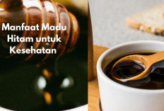 8 Manfaat Madu Hitam Buat Kesehatan, Menjaga Sistem Saraf, Mengatasi Gejala Sakit Lambung, Yuk Cek Khasiatnya!