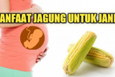 7 Manfaat Jagung untuk Ibu Hamil yang Jarang Diketahui, Yuk Bun Perbanyak Konsumsi dan Rasakan Khasiatnya...