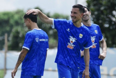 Thom Haye dan Eliano Siap Debut di Super League, Persib Auto Menang Lawan Persebaya?