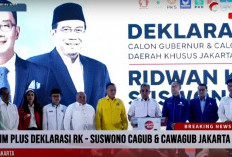 KIM Plus Resmi Usung Ridwan Kamil - Suswono, Asa Duet Anies - Doel Pupus! Kok Bisa?