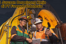 11 Jurusan yang Paling Berpeluang Kerja di PT Freeport Indonesia, Cek Jurusan Kamu...