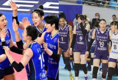 Hasil Liga Voli Korea 2024-2025, Hi-Pass Bungkam IBK Altos dalam 3 Set Langsung dengan Kemenangan Telak 3-0!