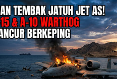 Donald Trump Kalang Kabut Usai Iran Klaim Tembak Jatuh Jet Tempur AS di Selat Hormuz, Nasib Pilot F-15 Misteri