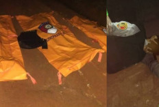 Geger! 3 Anggota Polisi Waykanan, Lampung Tewas Ditembak saat Gerebek Judi Sabung Ayam, Oknum TNI Terlibat? 