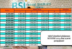 Tabel Simulasi Terbaru KUR BSI 2024 Plafon 50 Juta, UMKM Makin Happy Bunga Cuma 6 Persen Pertahun, Ajukan!