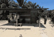 Gajah Liar Masuk Permukiman Warga di Pekanbaru, Injak Bocah 8 Tahun hingga Tewas Saat Subuh