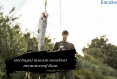 Jarang Diketahui! 5 Manfaat Memancing Ikan Bagi Kesehatan, Salah Satunya Bisa Bikin Awet Muda Lho.. 