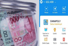 17 Link Penghasil Saldo DANA Gratis Super Mudah Cairkan Rp600 Ribu Hanya dalam 10 Menit Aja, Gasken Bro...