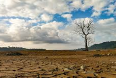 Dampak Musim Kemarau Indonesia, Empat Kecamatan di Kabupaten Sumenep Jawa Timur Alami Krisis Air Bersih