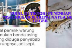 Viral di TikTok! Penemuan Misterius di Warung Nayla Bikin Geger