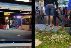 Polres Tarakan Diserang Puluhan Anggota TNI AD, 1 Polisi Babak Belur Dihajar di Jalanan