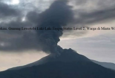 Info Terkini, Gunung Lewotobi Laki-Laki Erupsi Status Level 2, Warga di Minta Waspada!