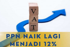 Pajak Naik 12 Persen Tahun 2025, Tidak Perlu Khawatir Karena Akan DIkembalikan Dalam Berntuk Bansos