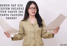 Apakah Benar Sistem Seleksi PPPK 2024 Fokus pada Peringkat Terbaik Tanpa Passing Grade?