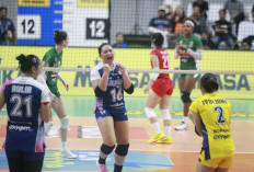 Voli Mania Simak! Berlangsung di 11 Kota, Ini Jadwal Pelaksanaan Proliga 2026