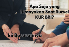 Apa Saja yang Ditanyakan Saat Survei KUR BRI? Ini Bocorannya