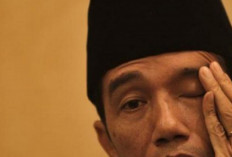 Satu Persatu Borok Jokowi Dikorek, Kesaksian Mantan Ketua KPK, Presiden Teriak Hentikan Untuk Kasus Setnov