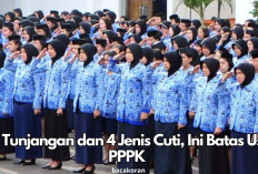 Ketentuan Lengkap! 5 Tunjangan, 4 Jenis Cuti dan Batas Usia Pensiun PPPK yang Disetujui Jokowi, Cek Disini