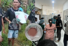 Heboh! Warga Temukan Bayi Perempuan di Kali Kehiran Jayapura Saat Mancing, Polisi Buru Pelaku