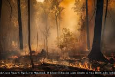 Dampak Cuaca Panas! Si Jago Merah Mengamuk, 10 hektare Hutan dan Lahan Gambut di Kutai Barat Ludes Terbakar