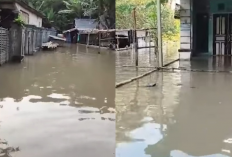 3 Hari Terendam! Banjir Kresek Rendam 115 Rumah dan 35 Hektare Sawah, Tanggul Jebol Sejak 2015 Disorot